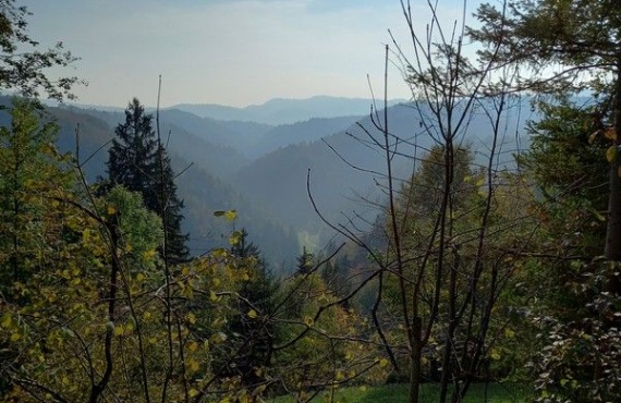 Ljubljana - Škofja Loka