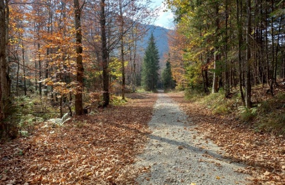 Škofja Loka - Bohinjska Bistrica