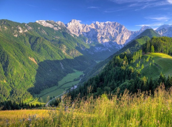 Alps in the back