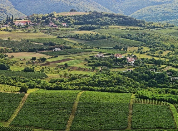 Central Istria