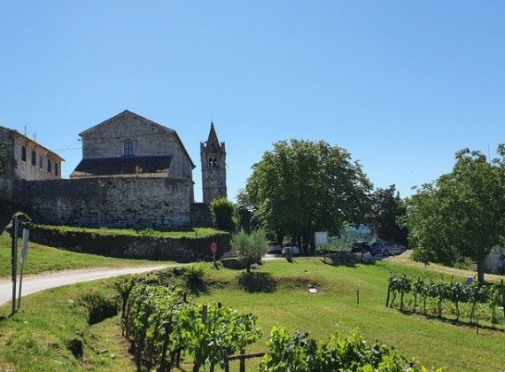 Grožnjan Town