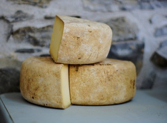 Cheese tastings